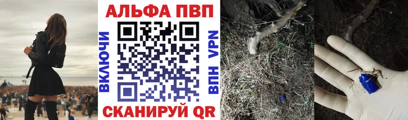 APVP СК  маркетплейс как зайти  Покров 